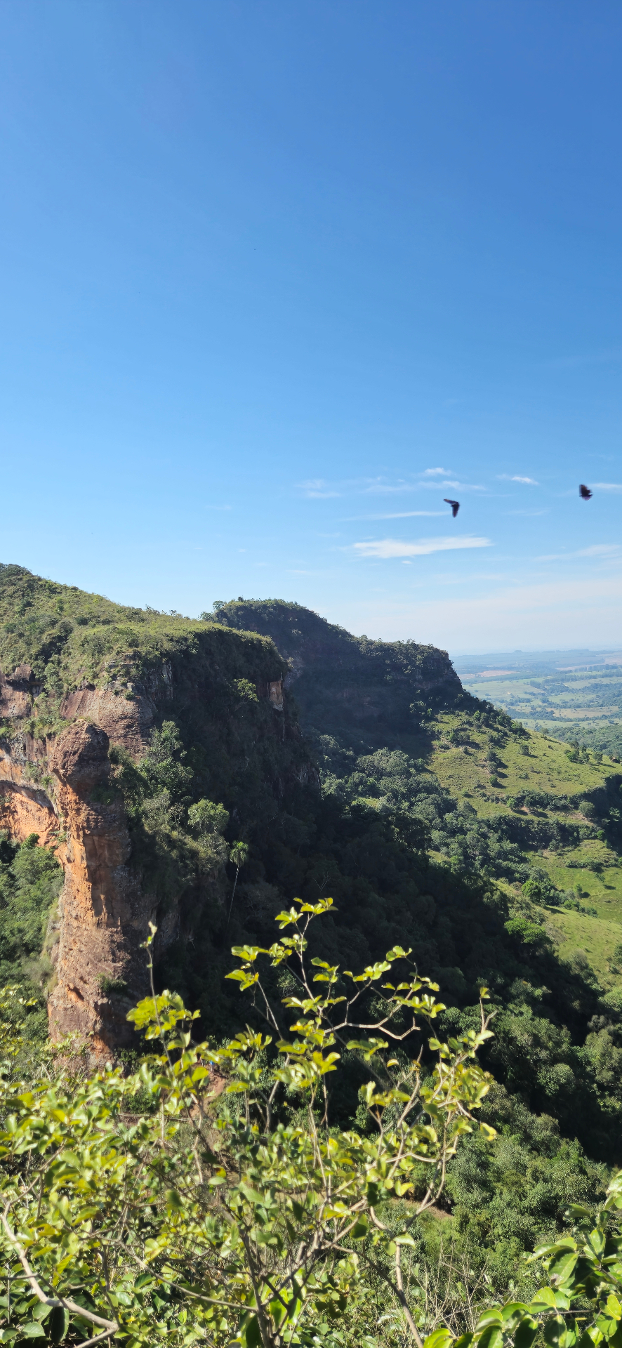 Vista do paredão rochoso com pássaros voando